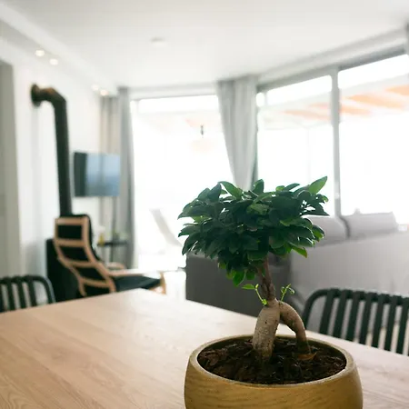 Physis Fokida Эратини